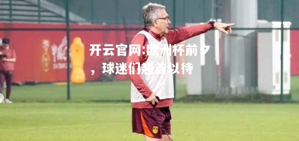 开云官网:欧洲杯前夕，球迷们翘首以待