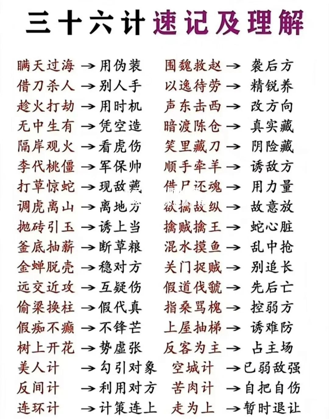 开云官网:尼斯队员锡域然链，报季迎赢季领心