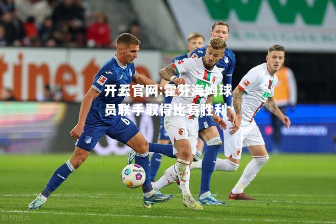 开云官网:霍芬海姆球员联手取得比赛胜利