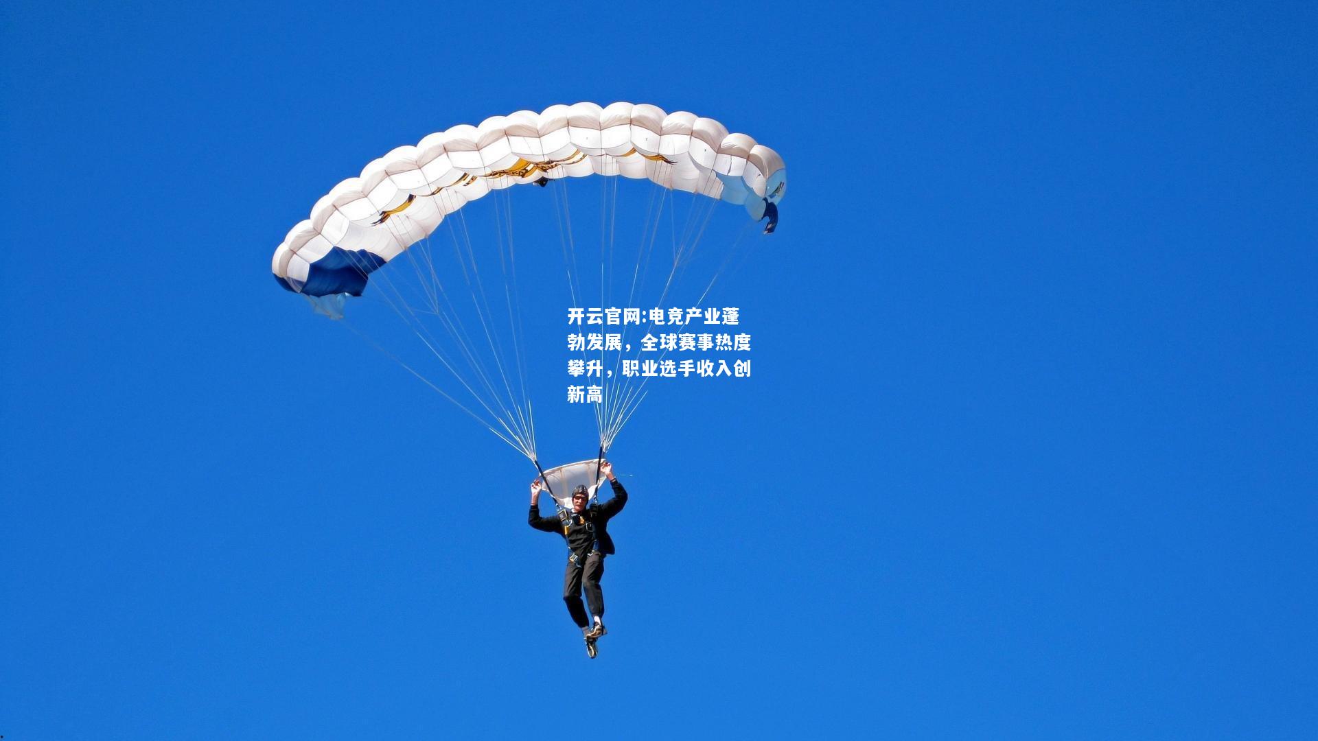 开云官网:电竞产业蓬勃发展，全球赛事热度攀升，职业选手收入创新高